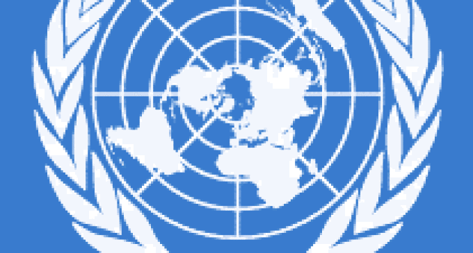 Programa de voluntariado universitario de la ONU
